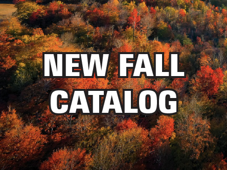 Autumn leaves with a block of text over it saying New Fall Catalog