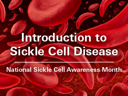 An image with blood cells with overlay text about introduction of sickle cell